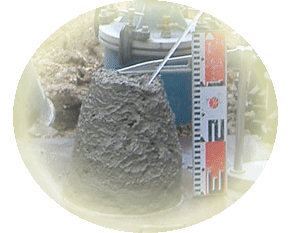 �X�����v�W�p�����ʐ^>

		<ul>

			<span style=
